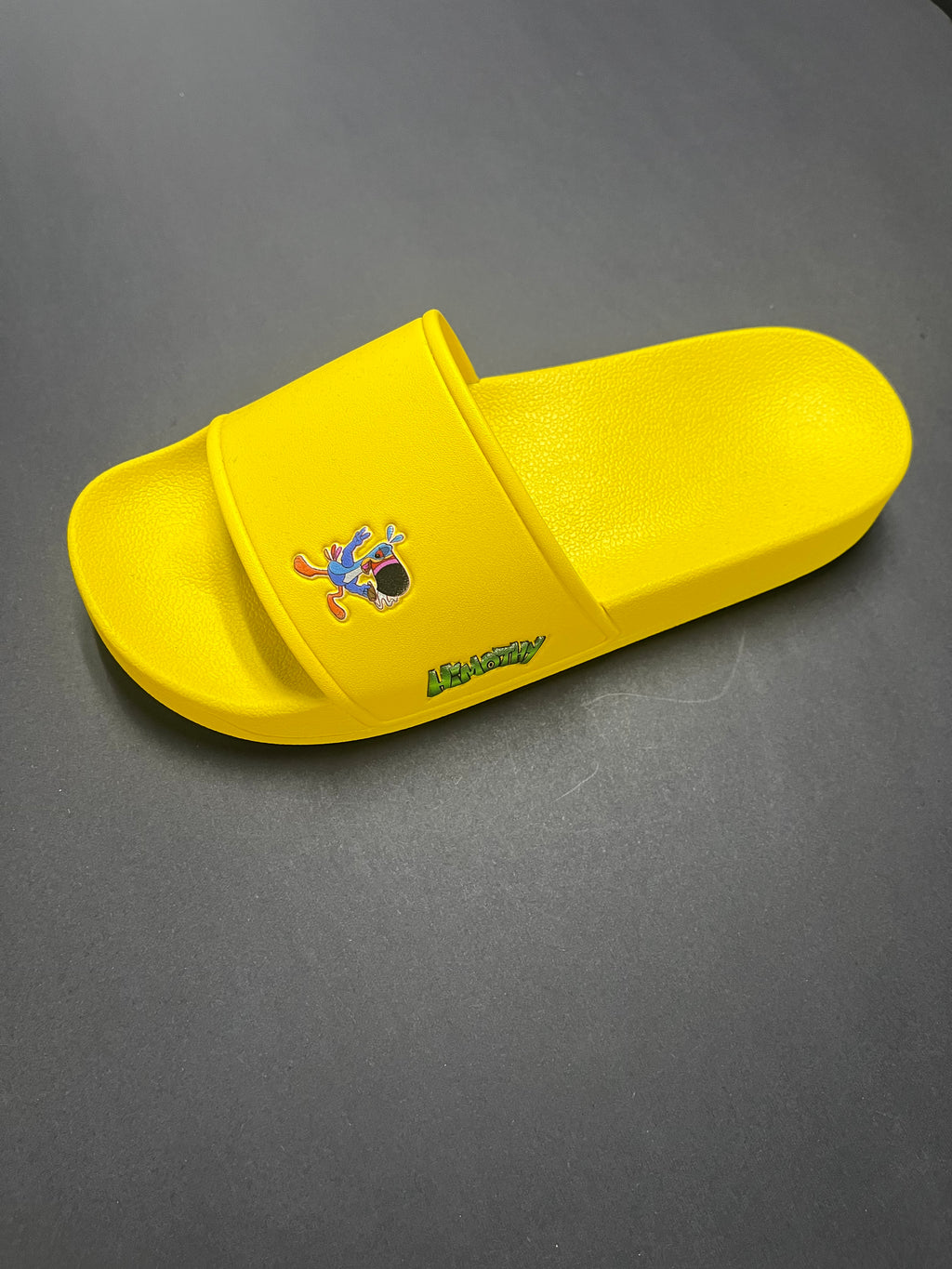 Slides