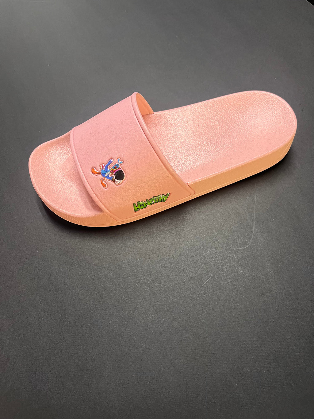 Slides